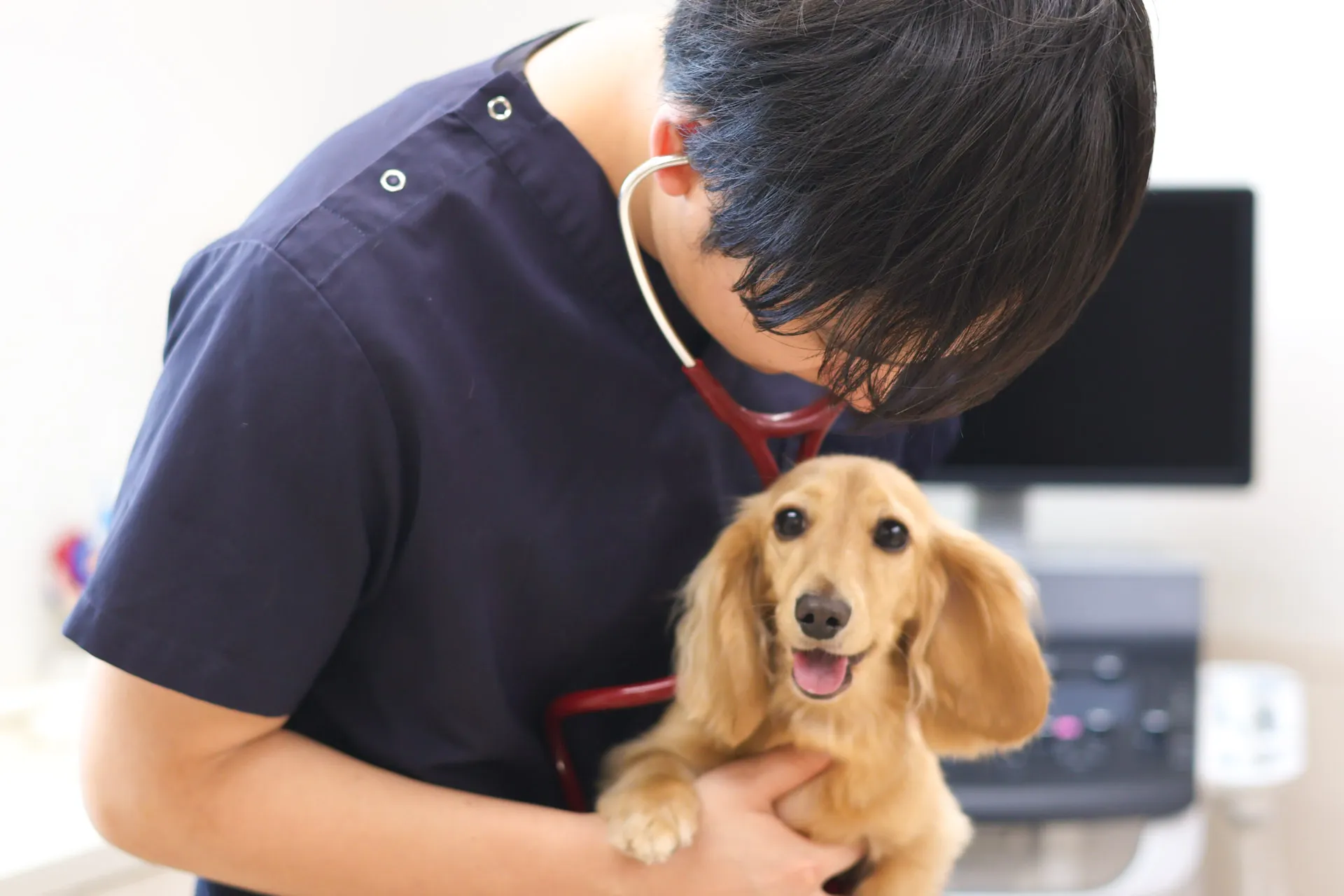五泉動物病院メインビジュアル画像
